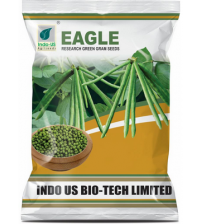 Greengram / Moong Indo US Eagle